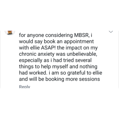 Text expressing gratitude and recommendation for MBSR sessions with Ellie for chronic anxiety help.